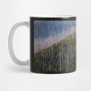 Falls Creek Victoria - Regrowth Mug